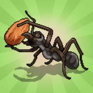 口袋蚂蚁殖民地模拟器汉化版(Pocket Ants)