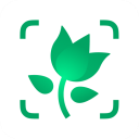 PictureThis植物识别APP